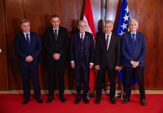 Članovi rukovodstva oba doma Parlamentarne skupštine BiH održali sastanak s predsjednikom Republike Austrije 